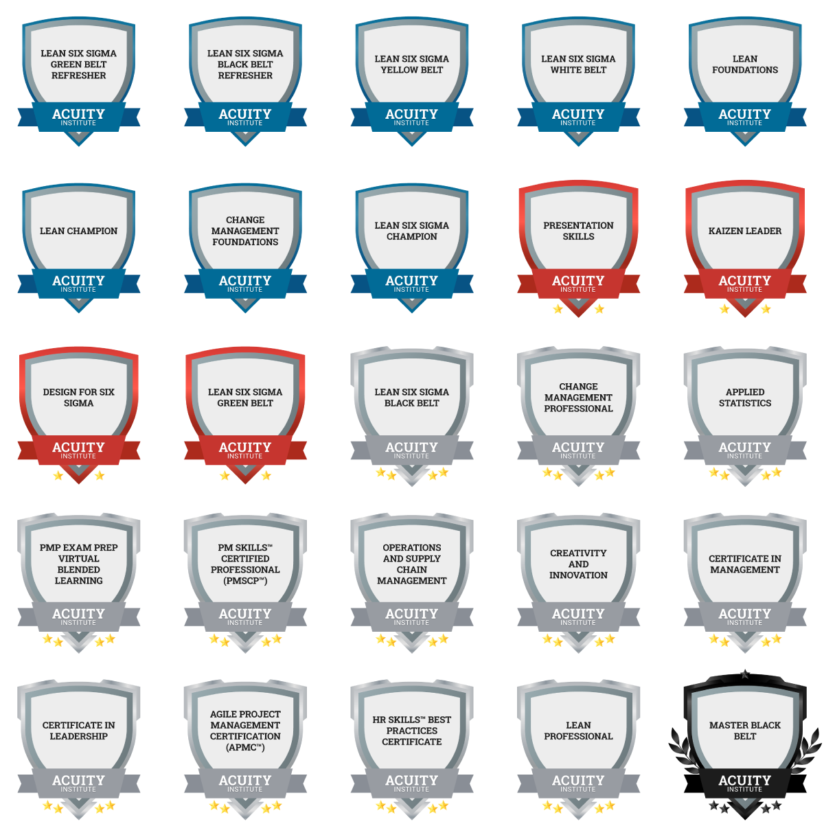 A display of the Acuity Institute badges.